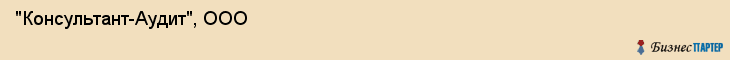 "Консультант-Аудит", ООО, Екатеринбург