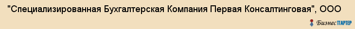"Специализированная Бухгалтерская Компания Первая Консалтинговая", ООО, Екатеринбург