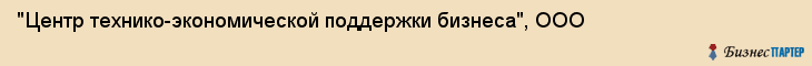 "Центр технико-экономической поддержки бизнеса", ООО, Екатеринбург