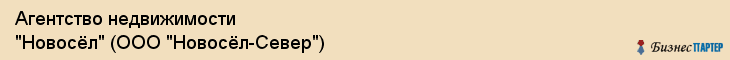Агентство недвижимости "Новосёл" (ООО "Новосёл-Север"), Екатеринбург